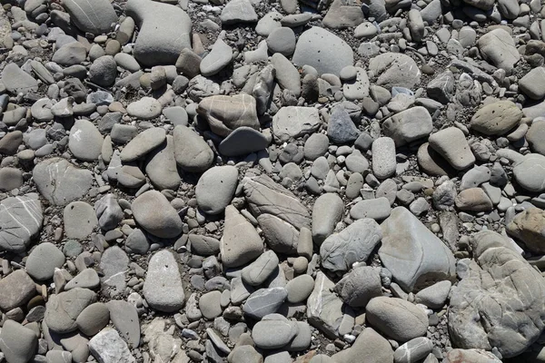 Steiniger Weg Der Natur — Stockfoto