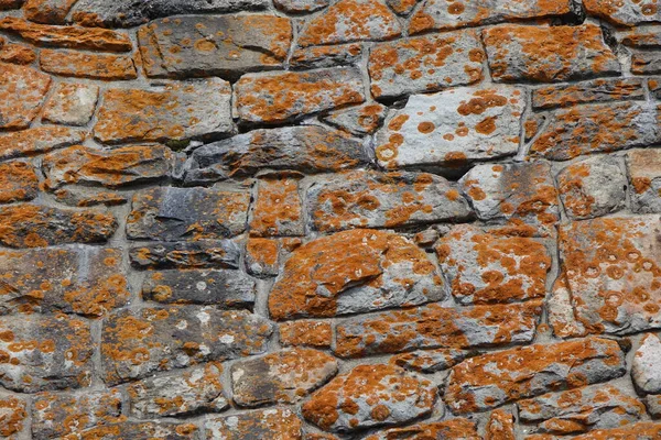 Pflaster Strukturierten Städtischen Hintergrund — Stockfoto