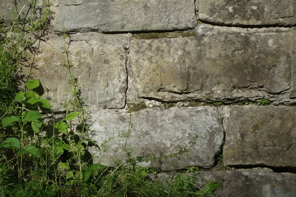 Old Wall Textured Background — Stock Photo, Image