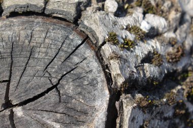 soyut ahşap yapı arkaplanı