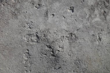 Beton duvar desenli arka plan