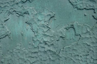 Yeşil sayfa dokusu arkaplanı.