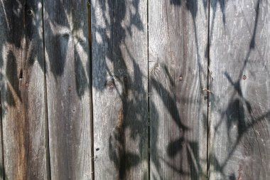 soyut ahşap yapı arkaplanı