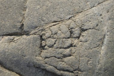 eski duvar desenli arkaplan