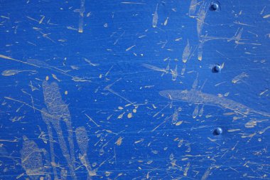 Eski kabuk soyma dokusu mavi arkaplan. 