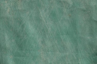 Yeşil sayfa dokusu arkaplanı.