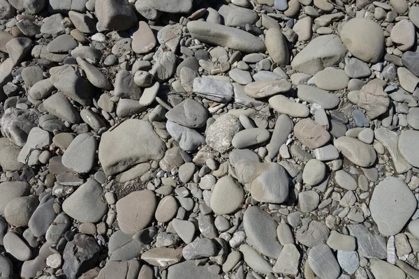 Steiniger Weg Der Natur — Stockfoto