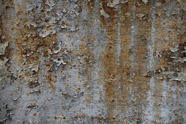 Beton duvar desenli arka plan