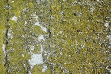 beton duvar arkaplan görüntüsü