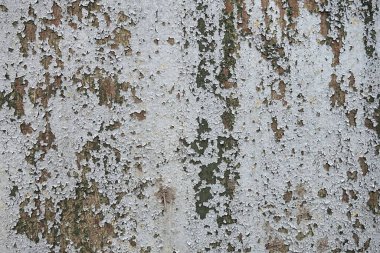 Beton duvar desenli arka plan