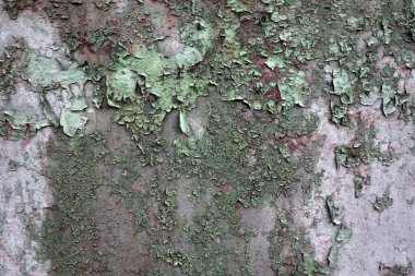 Beton duvar desenli arka plan