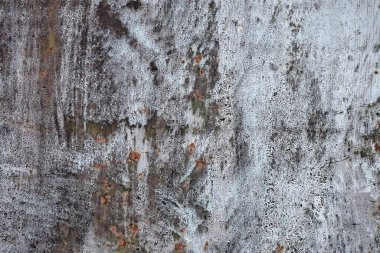 Beton duvar desenli arka plan