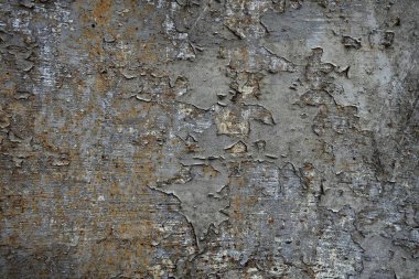 Beton duvar desenli arka plan