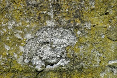 beton duvar arkaplan görüntüsü