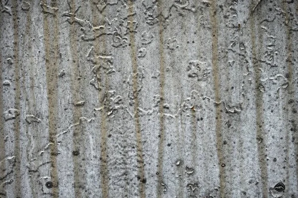 Concrete Wall Textured Background — Stock Photo, Image