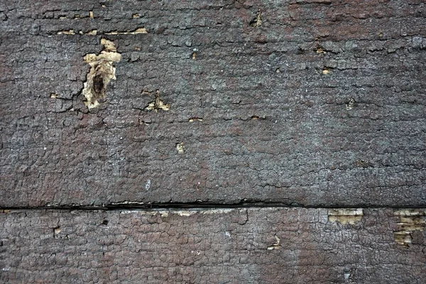 Holz Hintergrund Nahaufnahme Ansicht — Stockfoto