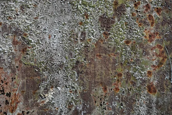 Τσιμεντένιο Τοίχωμα Ανάγλυφο Φόντο — Φωτογραφία Αρχείου