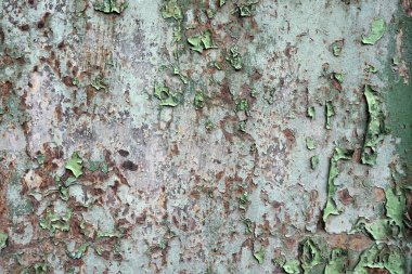 Beton duvar desenli arka plan