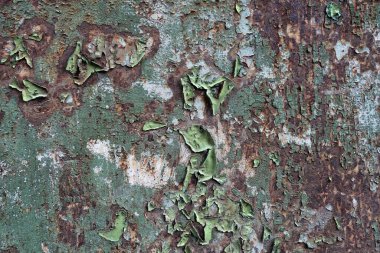 Beton duvar desenli arka plan