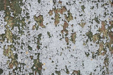 Beton duvar desenli arka plan