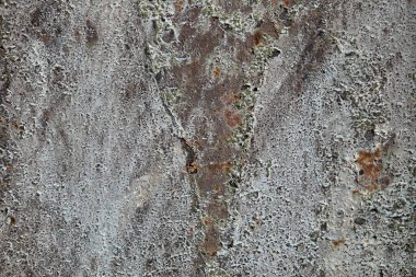 Beton duvar desenli arka plan