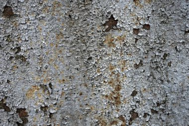 Beton duvar desenli arka plan