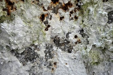 Beton duvar desenli arka plan