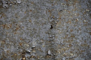 Beton duvar desenli arka plan