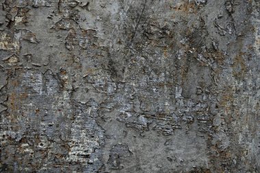 Beton duvar desenli arka plan