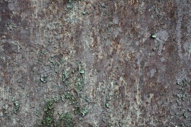 Beton duvar desenli arka plan