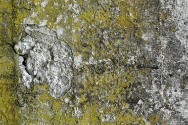 beton duvar arkaplan görüntüsü