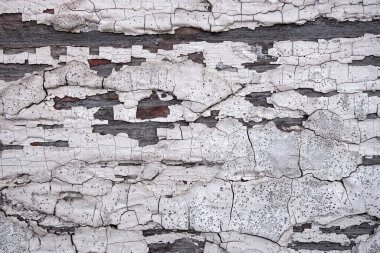 Beton duvar desenli arka plan