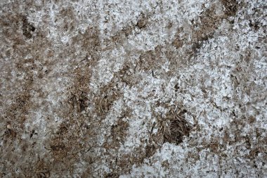 Beton duvar desenli arka plan