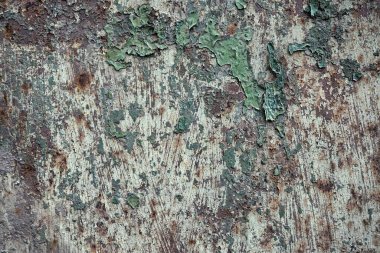 Beton duvar desenli arka plan