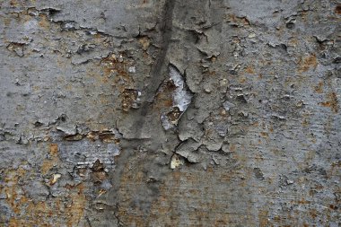 Beton duvar desenli arka plan