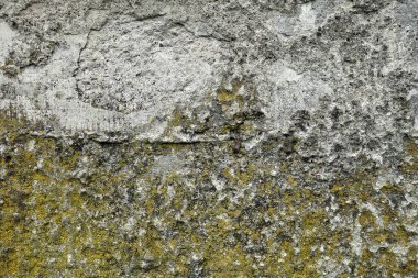 beton duvar arkaplan görüntüsü