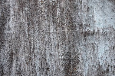 Beton duvar desenli arka plan