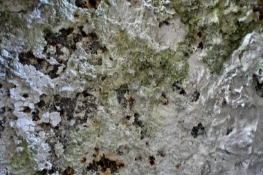 Beton duvar desenli arka plan