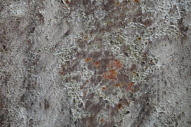 Beton duvar desenli arka plan