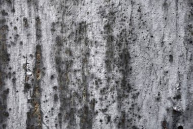 Beton duvar desenli arka plan