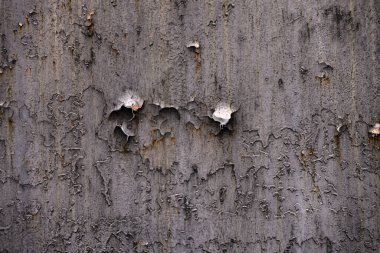 Beton duvar desenli arka plan