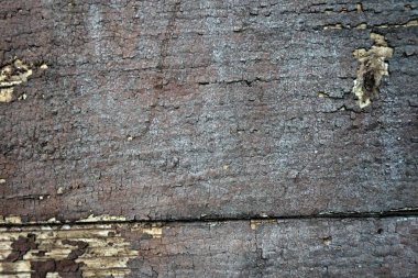 ahşap arkaplan yakın görünüm