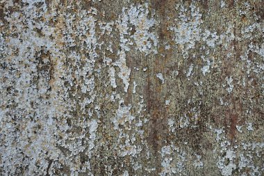 Beton duvar desenli arka plan