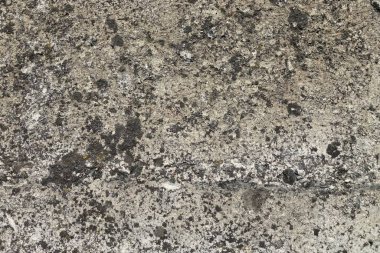 beton duvar arkaplan görüntüsü