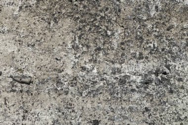 beton duvar arkaplan görüntüsü