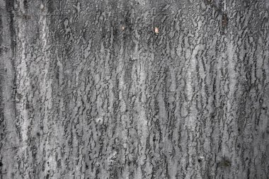 Beton duvar desenli arka plan