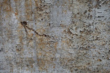 Beton duvar desenli arka plan