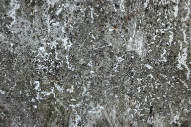 Beton duvar desenli arka plan