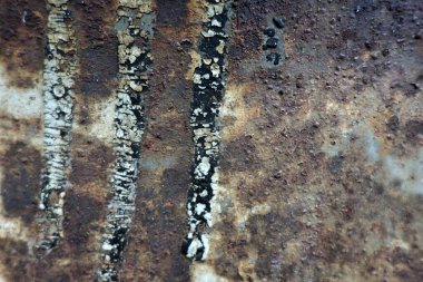 Beton duvar desenli arka plan