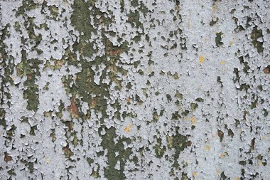 Beton duvar desenli arka plan